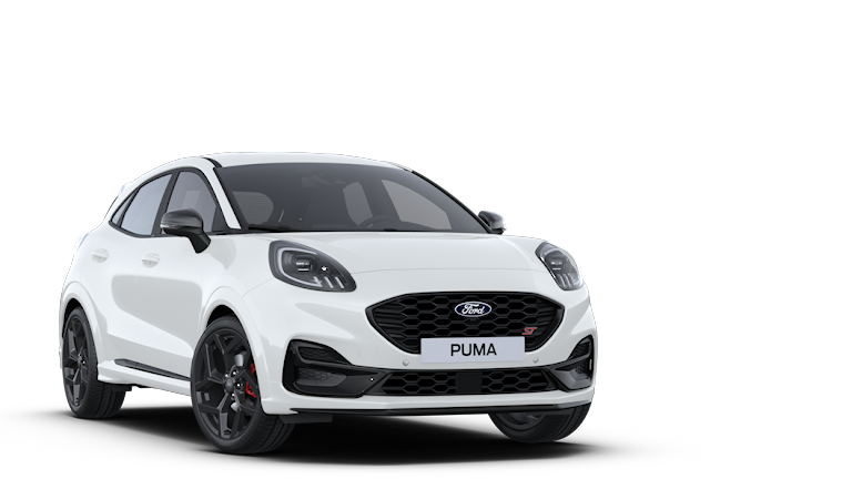 60 puma st